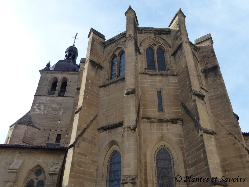 Saint-Antoine l'Abbaye_Eglise abbatiale