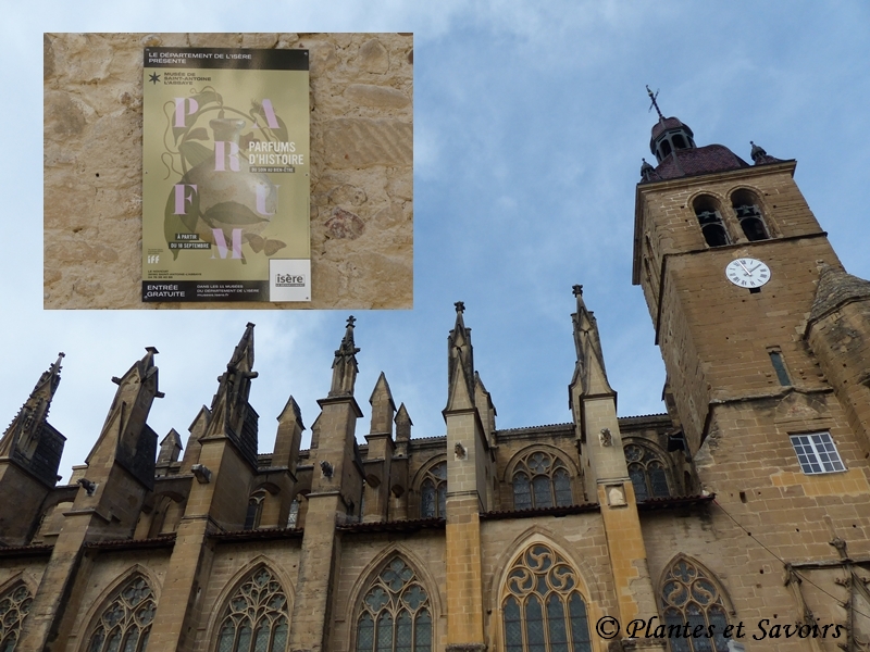 Parfums d’histoire – du soin au bien-être – à Saint-Antoine-l’Abbaye (Isère)